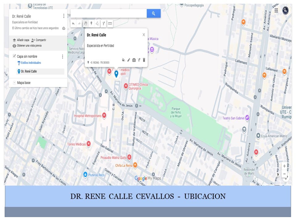 rene calle
